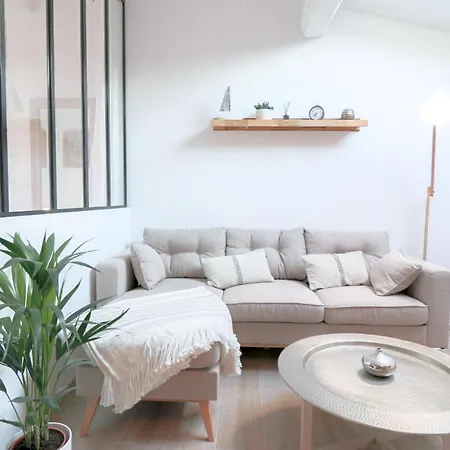 Apartment Vauban Rare Renovated Luxury Loft In Old 300 M From *